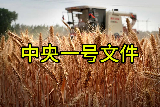《轉(zhuǎn)發(fā)》老趙說(shuō)農(nóng)資：解讀2024中央一號(hào)文件，肥料生產(chǎn)企業(yè)這樣干
